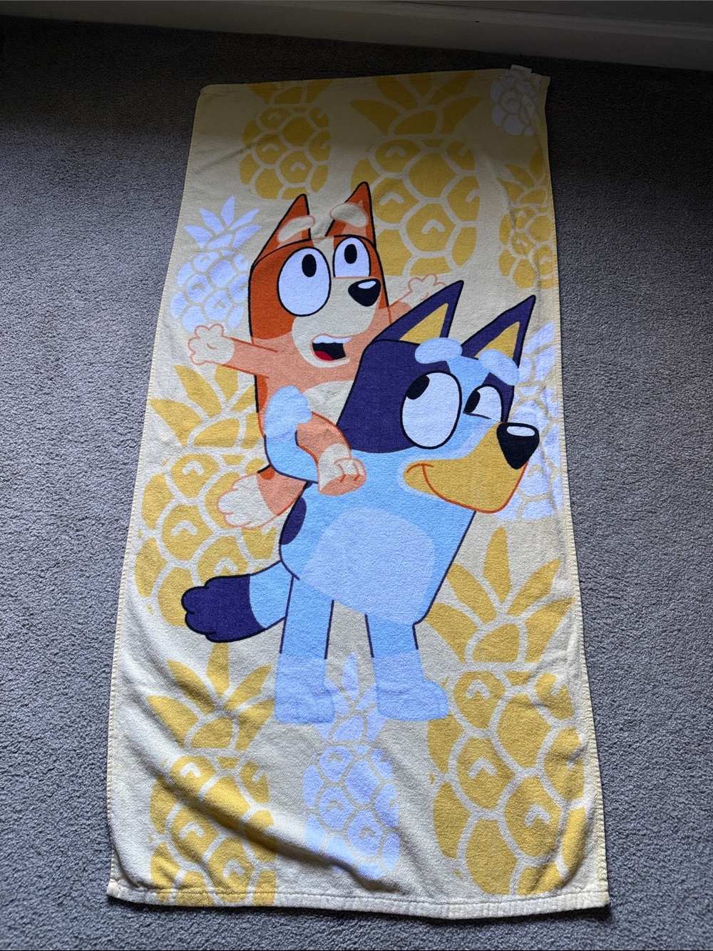Kids Blue and Yellow Character Swim Towel - Bluey and Bingo